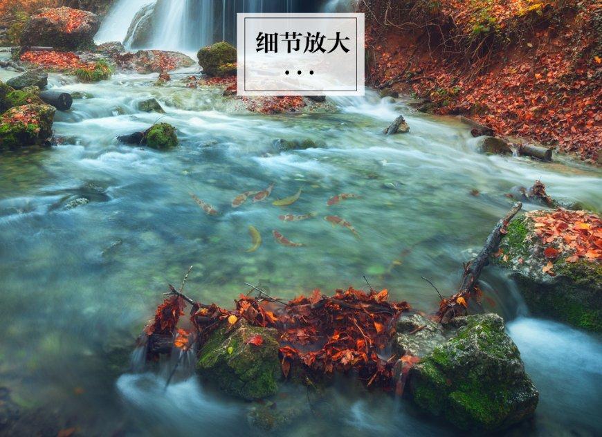 专业问答网站-你想成为一个什么样的女人平台 | 精准解答你的疑问